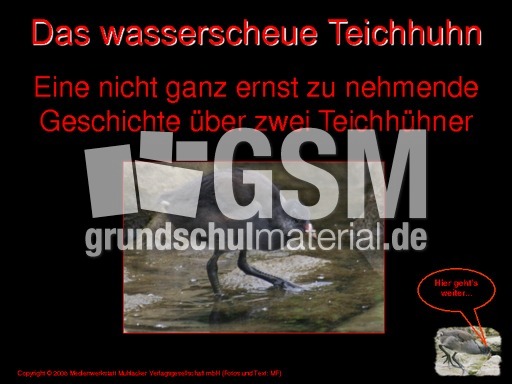 Das-wasserscheue-Teichhuhn.pdf